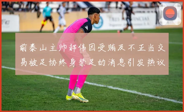 前泰山主帅郝伟因受贿及不正当交易被足协终身禁足的消息引发热议