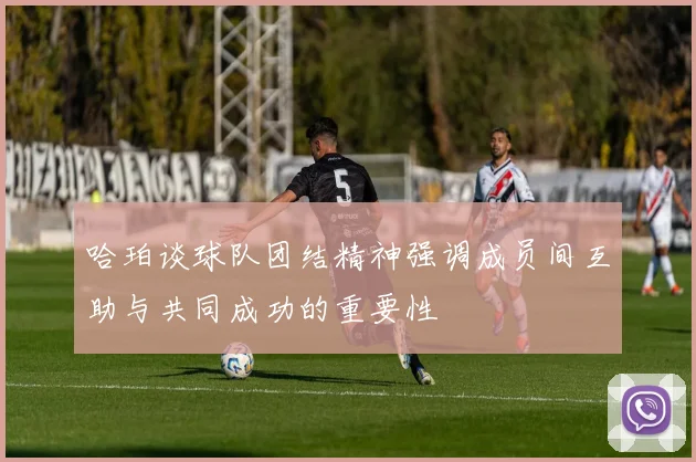 哈珀谈球队团结精神强调成员间互助与共同成功的重要性