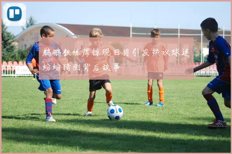 鹈鹕教练席惊现旧将引发热议球迷纷纷猜测背后故事